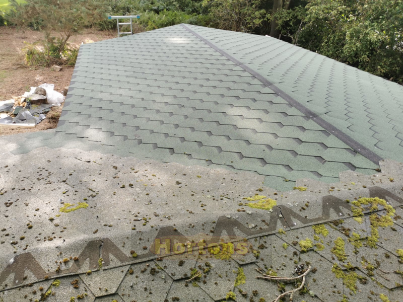 Garden cabin roof extension
